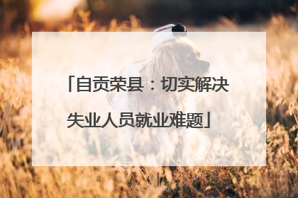 自贡荣县：切实解决失业人员就业难题