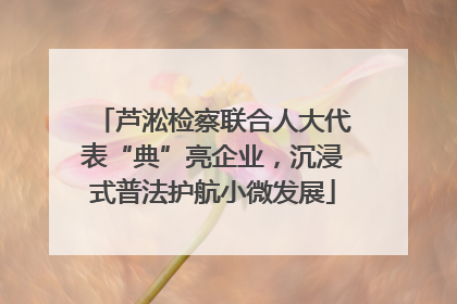 芦淞检察联合人大代表“典”亮企业，沉浸式普法护航小微发展