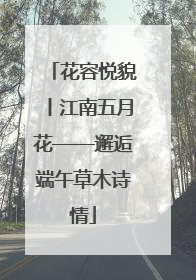 花容悦貌丨江南五月花——邂逅端午草木诗情