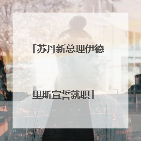 苏丹新总理伊德里斯宣誓就职