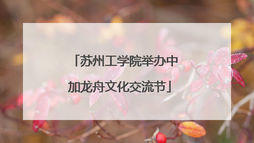 苏州工学院举办中加龙舟文化交流节