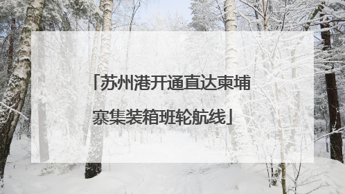 苏州港开通直达柬埔寨集装箱班轮航线