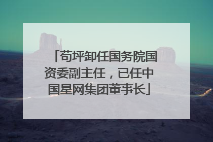 苟坪卸任国务院国资委副主任，已任中国星网集团董事长