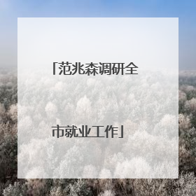 范兆森调研全市就业工作