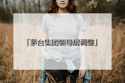 茅台集团领导层调整