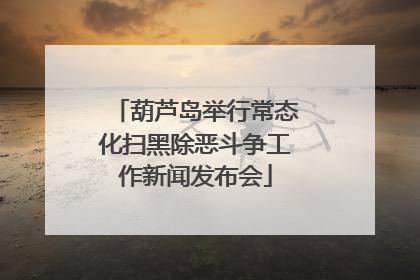 葫芦岛举行常态化扫黑除恶斗争工作新闻发布会