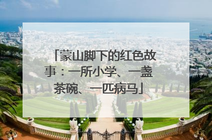 蒙山脚下的红色故事：一所小学、一盏茶碗、一匹病马