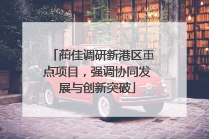 蔺佳调研新港区重点项目，强调协同发展与创新突破