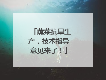 蔬菜抗旱生产，技术指导意见来了！