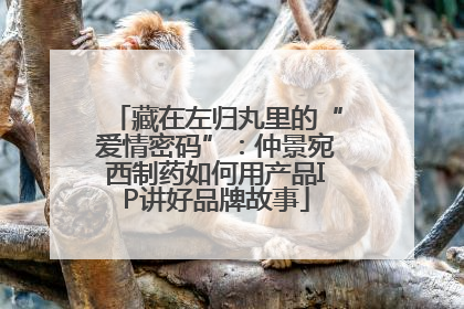 藏在左归丸里的“爱情密码”：仲景宛西制药如何用产品IP讲好品牌故事
