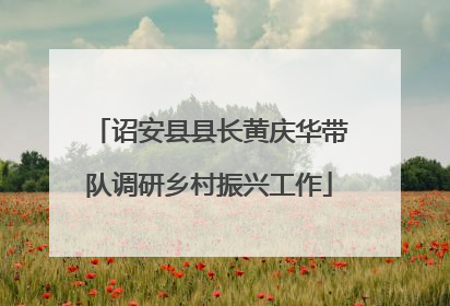 诏安县县长黄庆华带队调研乡村振兴工作