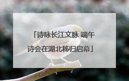 诗咏长江文脉 端午诗会在湖北秭归启幕