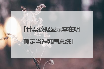 计票数据显示李在明确定当选韩国总统
