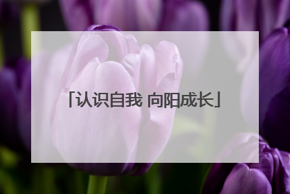 认识自我 向阳成长