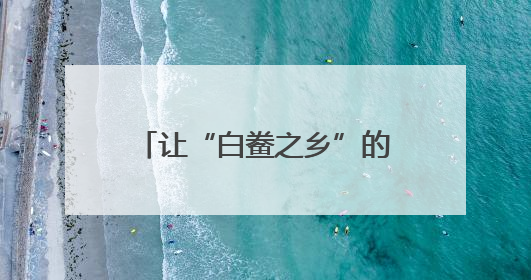 让“白鲞之乡”的好味道香飘四方