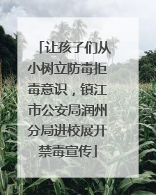 让孩子们从小树立防毒拒毒意识，镇江市公安局润州分局进校展开禁毒宣传