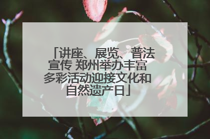 讲座、展览、普法宣传 郑州举办丰富多彩活动迎接文化和自然遗产日
