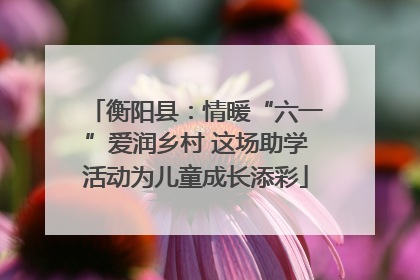 衡阳县：情暖“六一”爱润乡村 这场助学活动为儿童成长添彩