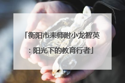 衡阳市耒师附小龙智英：阳光下的教育行者