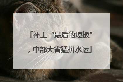 补上“最后的短板”，中部大省猛拼水运