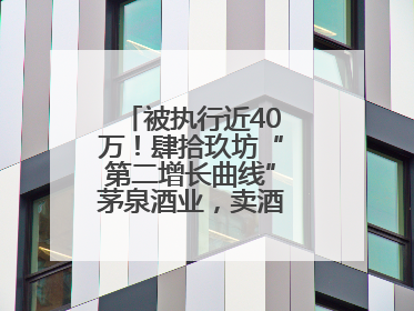 被执行近40万！肆拾玖坊“第二增长曲线”茅泉酒业，卖酒还是卖模式？