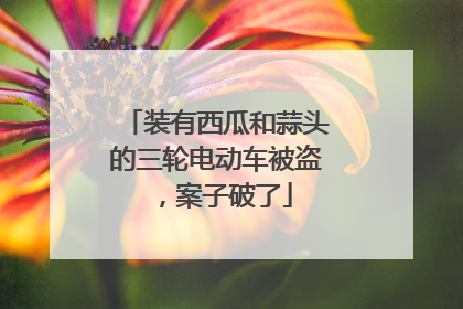 装有西瓜和蒜头的三轮电动车被盗，案子破了