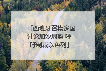 西班牙召集多国讨论加沙局势 呼吁制裁以色列