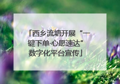 西乡流塘开展“一键下单·心愿速达”数字化平台宣传