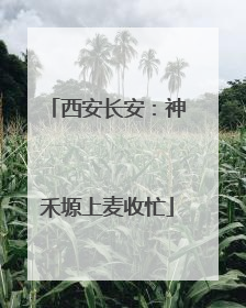西安长安：神禾塬上麦收忙