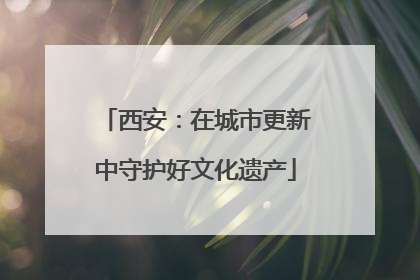 西安：在城市更新中守护好文化遗产