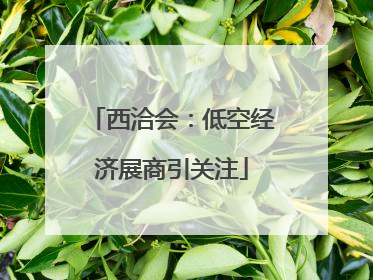 西洽会：低空经济展商引关注