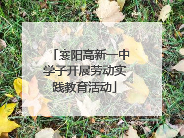 襄阳高新一中学子开展劳动实践教育活动