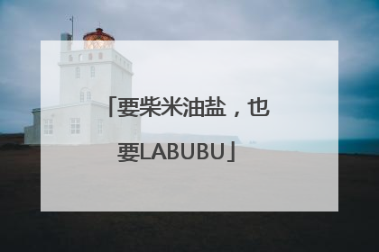 要柴米油盐，也要LABUBU