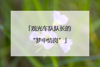 观光车队队长的“梦中情岗”