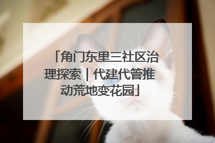 角门东里三社区治理探索｜代建代管推动荒地变花园
