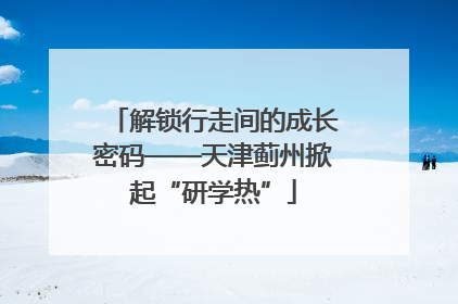 解锁行走间的成长密码——天津蓟州掀起“研学热”