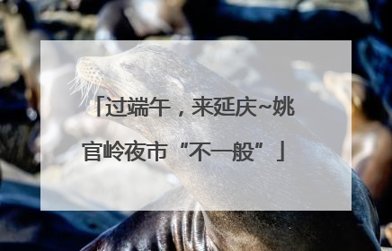 过端午，来延庆~姚官岭夜市“不一般”