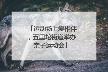 运动场上爱相伴，五里坨街道举办亲子运动会