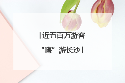 近五百万游客“嗨”游长沙