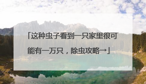 这种虫子看到一只家里很可能有一万只，除虫攻略→