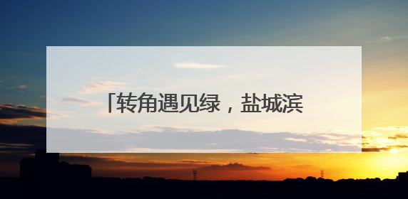 转角遇见绿，盐城滨海“口袋”盛满幸福