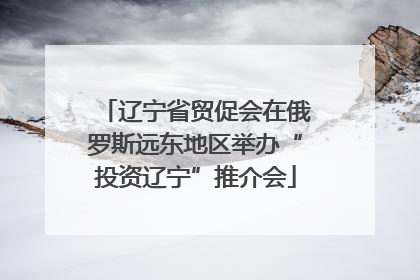 辽宁省贸促会在俄罗斯远东地区举办“投资辽宁”推介会