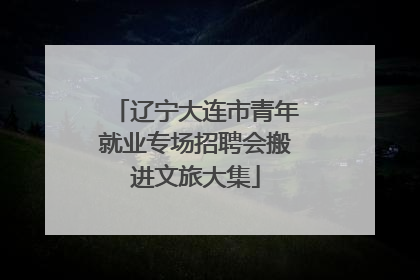 辽宁大连市青年就业专场招聘会搬进文旅大集