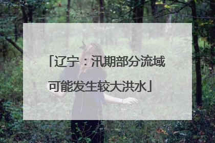 辽宁：汛期部分流域可能发生较大洪水