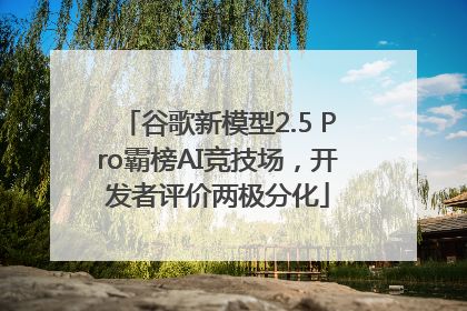 谷歌新模型2.5 Pro霸榜AI竞技场，开发者评价两极分化