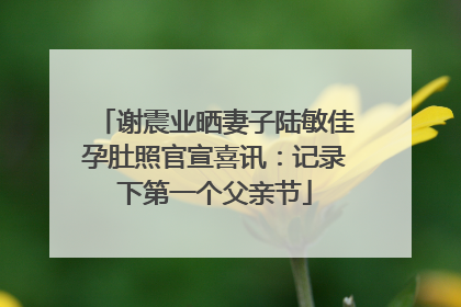 谢震业晒妻子陆敏佳孕肚照官宣喜讯：记录下第一个父亲节