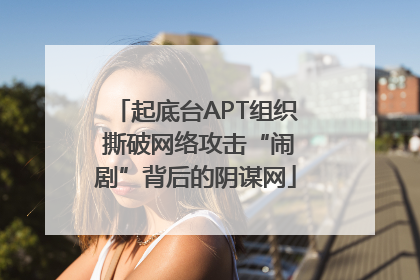 起底台APT组织 撕破网络攻击“闹剧”背后的阴谋网