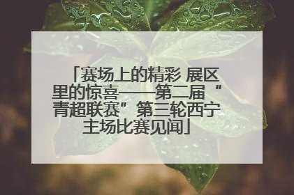 赛场上的精彩 展区里的惊喜——第二届“青超联赛”第三轮西宁主场比赛见闻