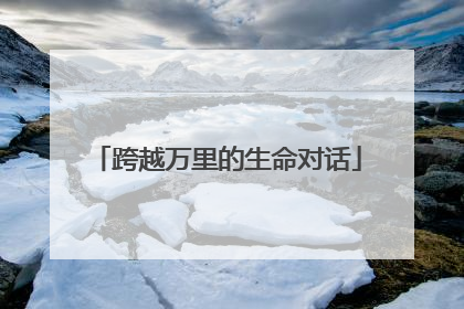 跨越万里的生命对话
