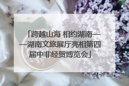 跨越山海 相约湖南——湖南文旅展厅亮相第四届中非经贸博览会
